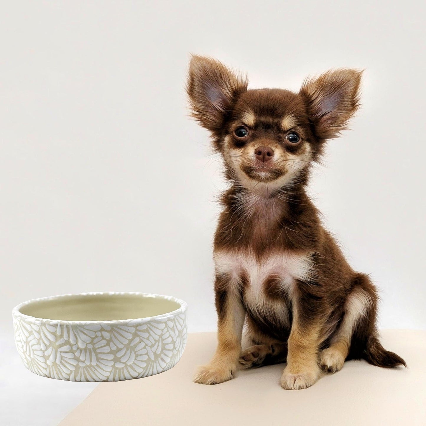 Plato Tazón de Alimento Para Mascotas | Talavera Poblana| Personalizable con el nombre de tu mascota | Moka, Mediano (15 cm Diam. x 5 cm Alt.) - MAREY - Plato