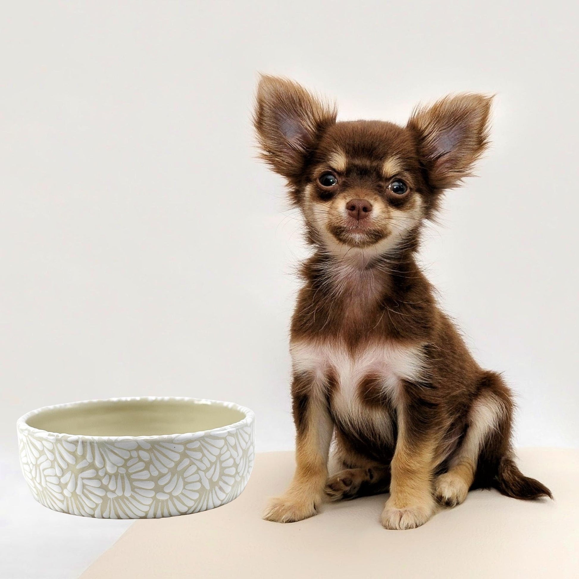 Plato Tazón de Alimento Para Mascotas | Talavera Poblana| Personalizable con el nombre de tu mascota | Moka, Mediano (15 cm Diam. x 5 cm Alt.) - MAREY - Plato